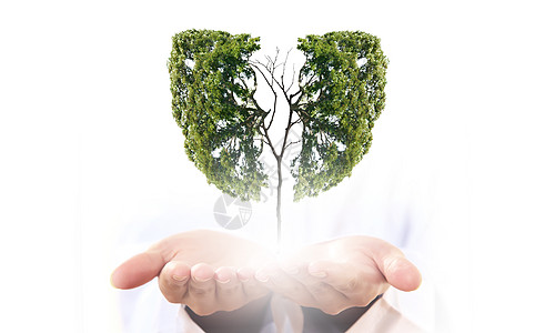 绿色森林呼吸空气污染绿色树手中的图像,形状像人类的肺背景