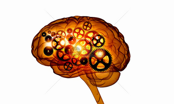 数字人脑白色数字背景下人脑的人类智能图片