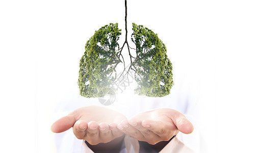空气污染绿色树手中的图像,形状像人类的肺图片