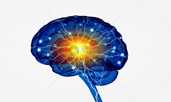 数字人脑白色数字背景下人脑的人类智能图片