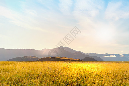 自然的夏季景观夏田高山的自然景观图片