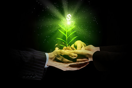 手中发芽轻的绿色萌芽人类手中货币背景图片