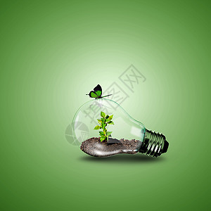 电灯泡的植物是绿色能源的象征图片