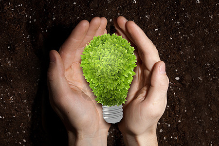 绿色能源土壤背景上手掌上的绿色灯泡图片