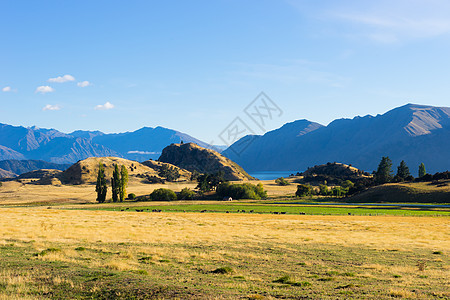 风景如画新西兰阿尔卑斯山田野的自然景观图片