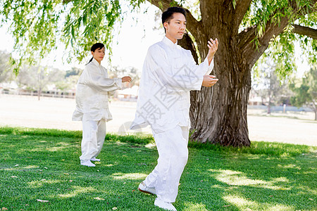 人们公园练泰拳人们夏天公园练太极拳背景图片