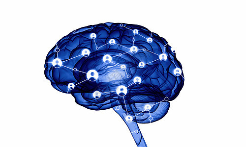 数字人脑白色数字背景下人脑的人类智能背景图片