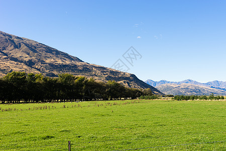 风景如画新西兰阿尔卑斯山草地的自然景观图片