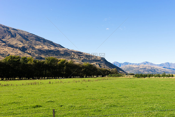 风景如画新西兰阿尔卑斯山草地的自然景观图片