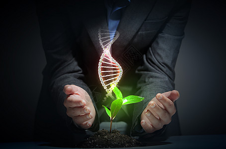 机科学与DNA机科学与DNA轻的绿色萌芽上升图片