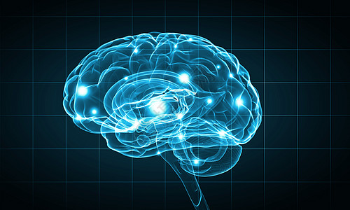 蓝色发光的人类大脑设计图片