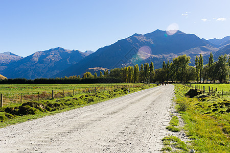 风景如画新西兰阿尔卑斯山道路的自然景观图片