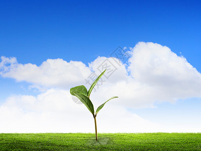 世间美好与你航空母舰增加你的收入货币收入与绿色萌芽成长设计图片
