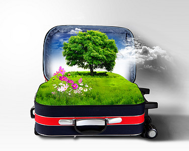 红色手提箱,绿色的自然景观图片