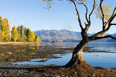 风景如画新西兰阿尔卑斯山湖泊的自然景观图片