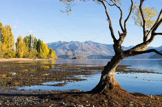 风景如画新西兰阿尔卑斯山湖泊的自然景观图片