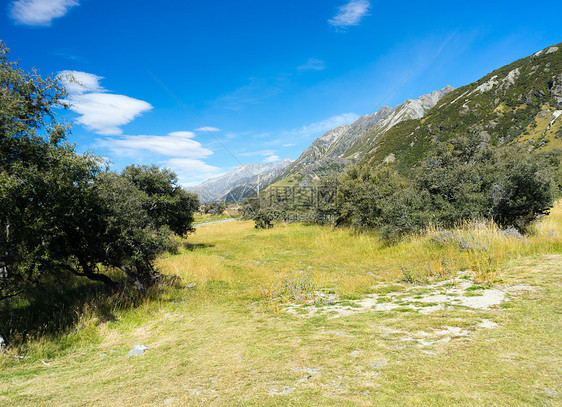 风景如画新西兰阿尔卑斯山草地的自然景观图片