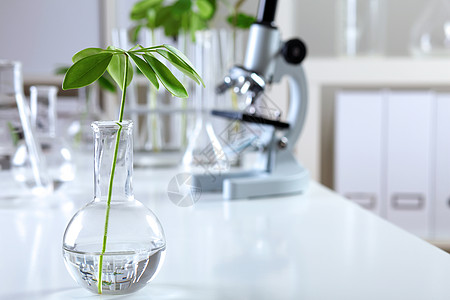 植物化学生物工程中的绿色植物背景
