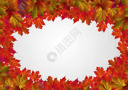 秋天的叶子背景图像与秋叶文字的位置图片