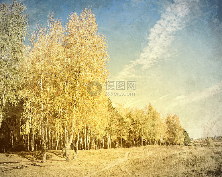 森林景观以福雷斯特景观为背景的旧照片高清图片下载 正版图片 摄图网 森林景观以福雷斯特景观为背景的旧照片高清图片下载 正版图片 摄图网