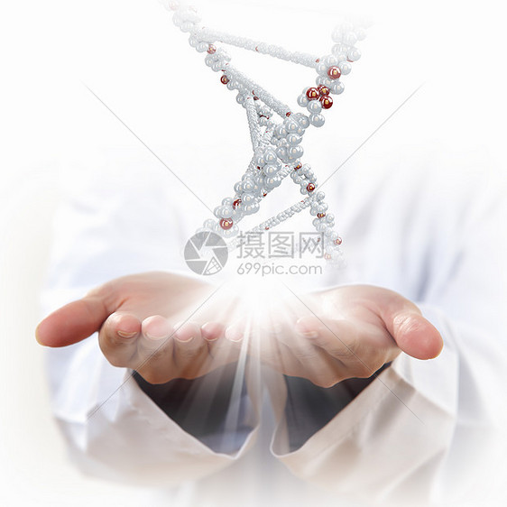 DNA链的图像用人手背景下DNA链的图像图片