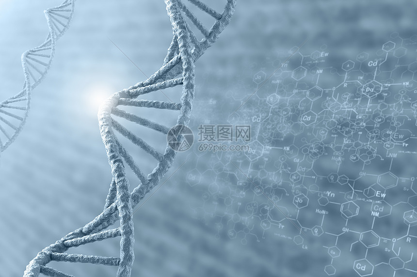 ‘~DNA分子高科技DNA分子的生物化学背景  ~’ 的图片