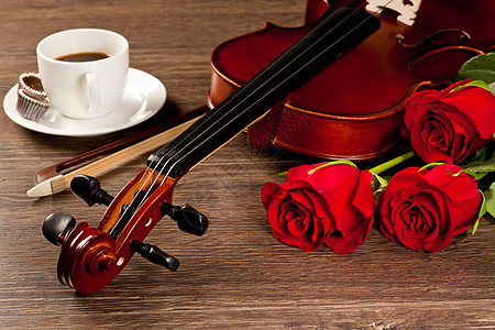 红玫瑰小提琴图片