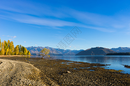 风景如画新西兰阿尔卑斯山湖泊的自然景观图片