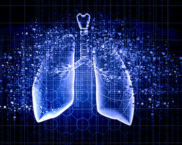 人类肺的示意图彩色背景上同元素的人类肺的示意图拼贴图片
