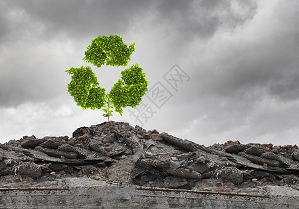 回收图像与回收绿色标志生长废墟上图片