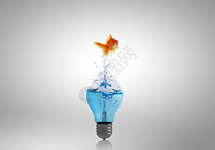 能量变化金鱼跳跃的灯泡充满了水图片