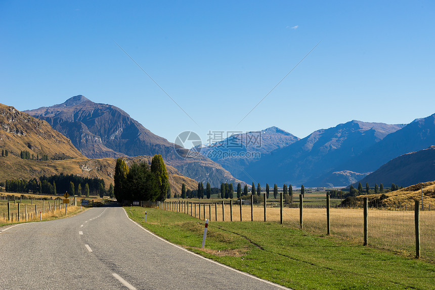 风景如画新西兰阿尔卑斯山道路的自然景观图片