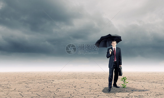 赚钱轻的商人带着雨伞保护着沙漠中生长的芽图片