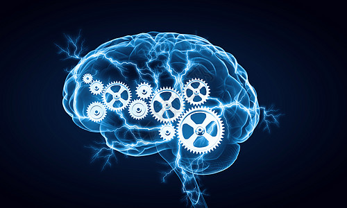 大脑齿轮数字人脑白色数字背景下人脑的人类智能背景