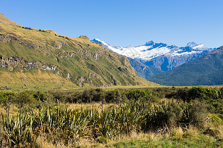 风景如画新西兰阿尔卑斯山草地的自然景观图片