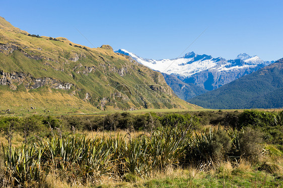 风景如画新西兰阿尔卑斯山草地的自然景观图片