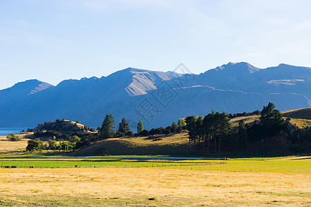 风景如画新西兰阿尔卑斯山田野的自然景观图片