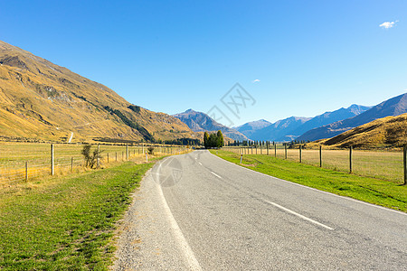 风景如画新西兰阿尔卑斯山道路的自然景观图片