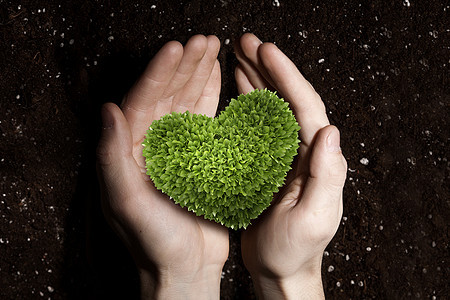 自然的爱绿色心脏植物人类手中的土壤背景背景图片