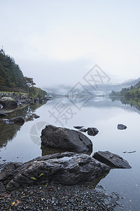 雪多尼亚公园雾蒙蒙的早晨,弗林克拉夫南特的景观图片