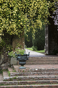 英国乡村加伦景观形象,挂花复古台阶,种植骨灰盒图片