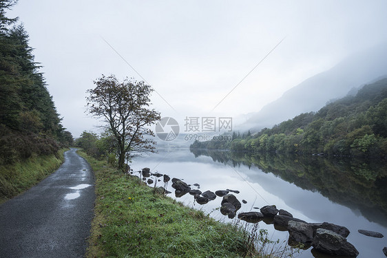 雪多尼亚公园雾蒙蒙的早晨,弗林克拉夫南特的景观图片