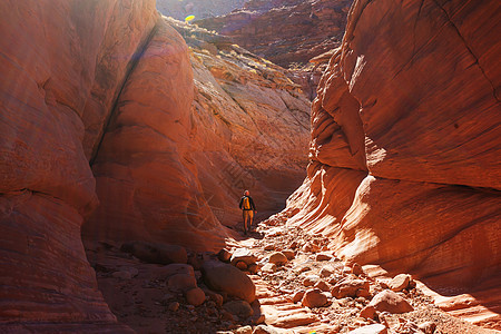 槽峡谷大楼梯埃斯卡兰特公园,犹他州,美国犹他州沙漠中寻常的彩色砂岩地层徒步旅行者的热门目的地图片