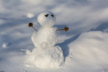 冬天背景下的雪人图片