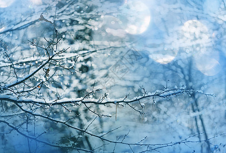 冬天风景如画的白雪覆盖的森林图片