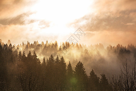 山里的雾图片