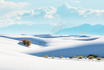 寻常的白色沙丘白沙纪念碑,新墨西哥,美国图片