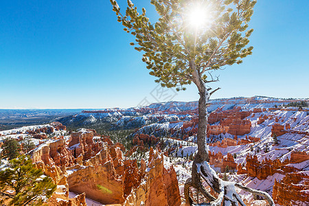 布莱斯峡谷冬季雪图片