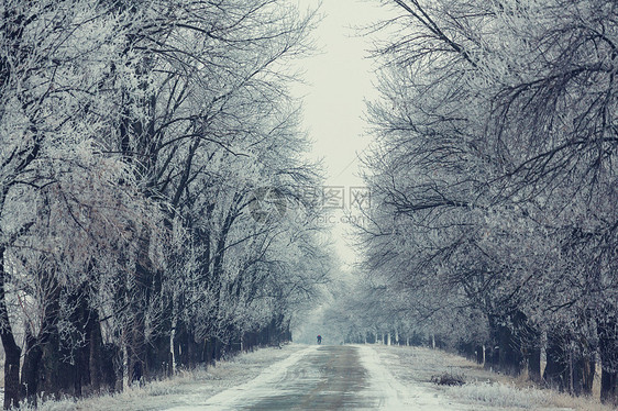 冬天白雪覆盖的小巷图片
