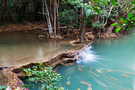 美丽的瀑布热带雨林,坎查纳布里省,东南亚,泰国图片
